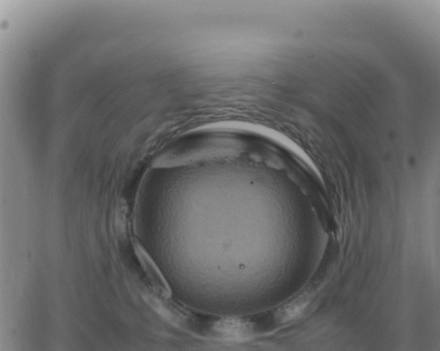 X0000063470231200601271637