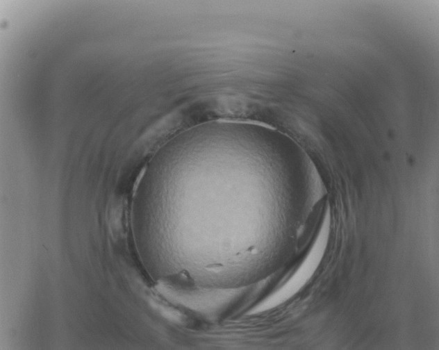 X0000063470233200601271637