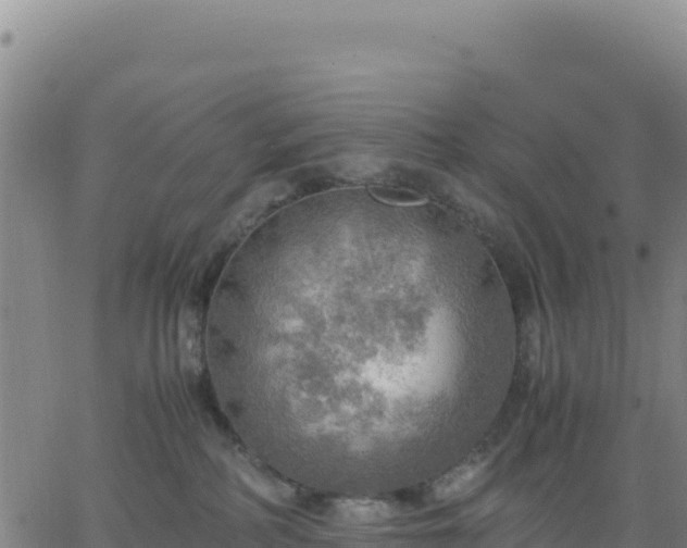 X0000063470234200601271637