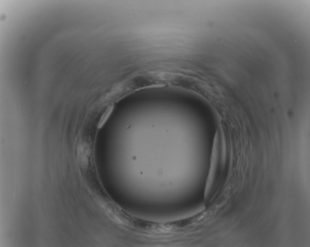 X0000063470235200601271637