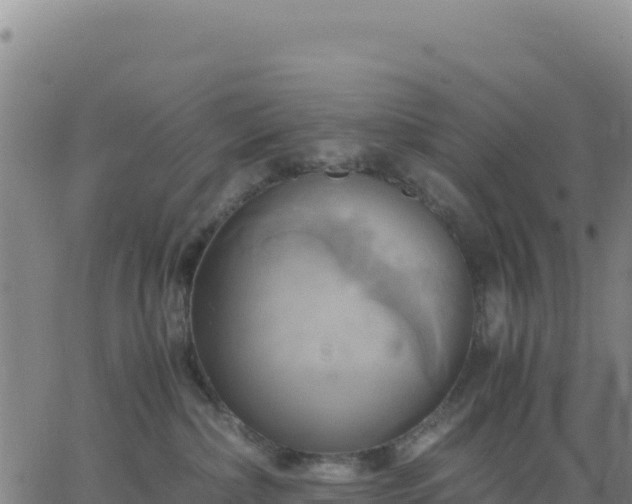 X0000063470236200601271637