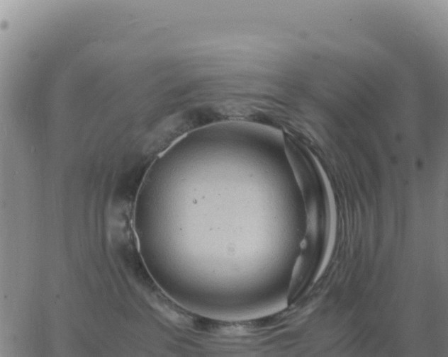 X0000063470237200601271637