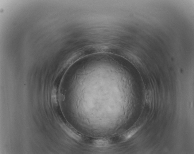 X0000063470238200601271637