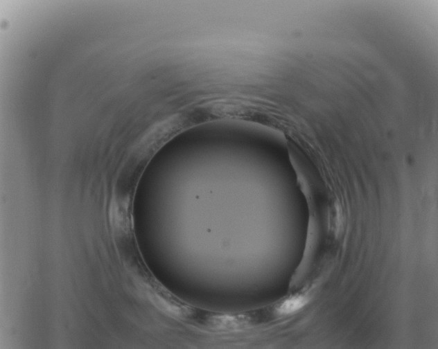 X0000063470239200601271637