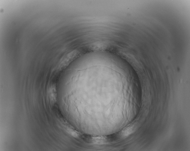 X0000063470240200601271637