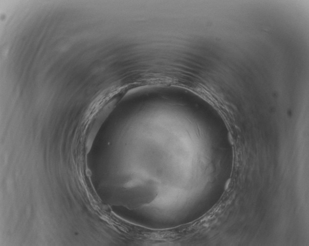 X0000063470241200601271636