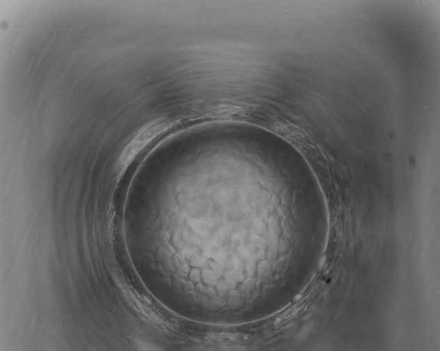 X0000063470242200601271636