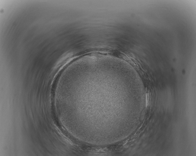 X0000063470243200601271636