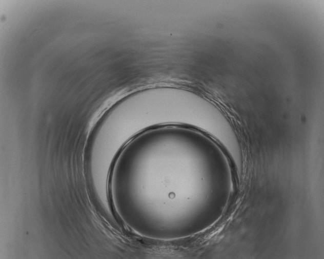 X0000063470244200601271636