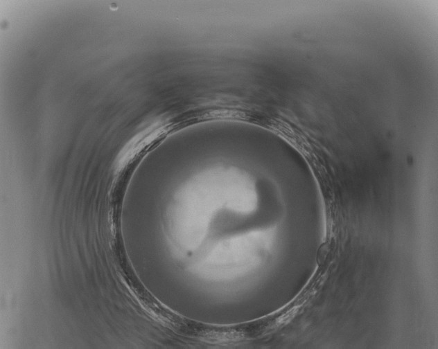 X0000063470245200601271636