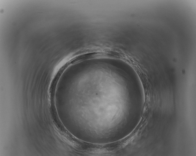 X0000063470246200601271637