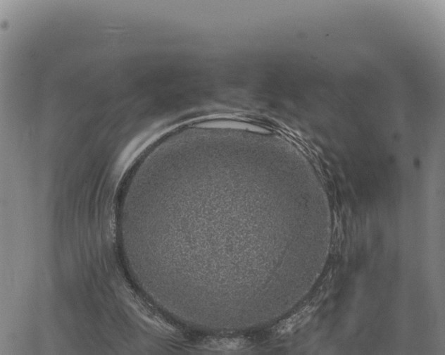 X0000063470247200601271637