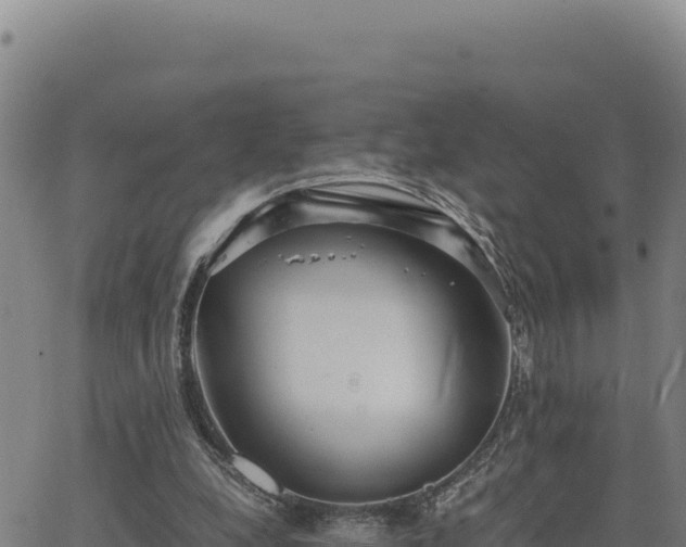 X0000063470248200601271637