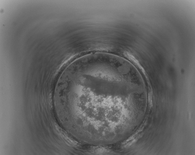 X0000063470249200601271637