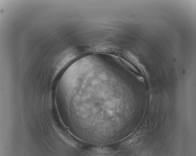 X0000063470250200601271637