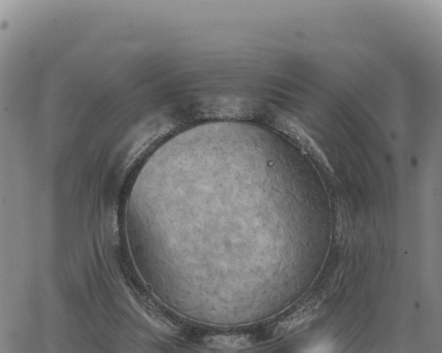 X0000063470251200601271637