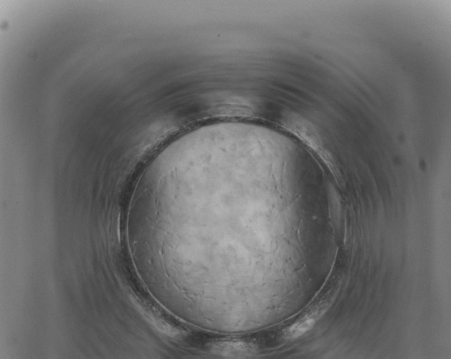 X0000063470253200601271637