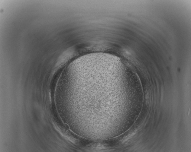 X0000063470254200601271637