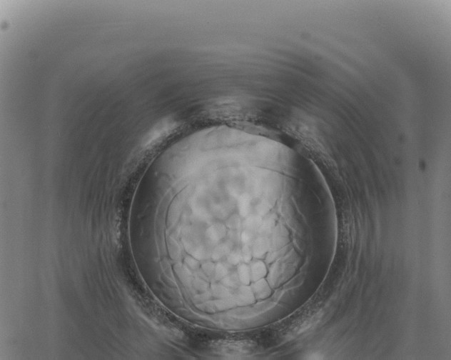 X0000063470255200601271637