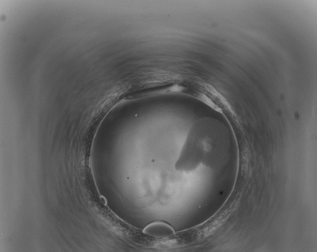 X0000063470257200601271637