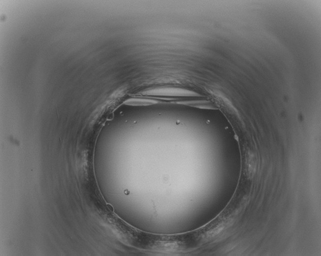 X0000063470260200601271637