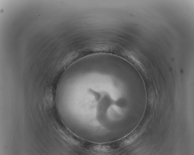 X0000063470261200601271637