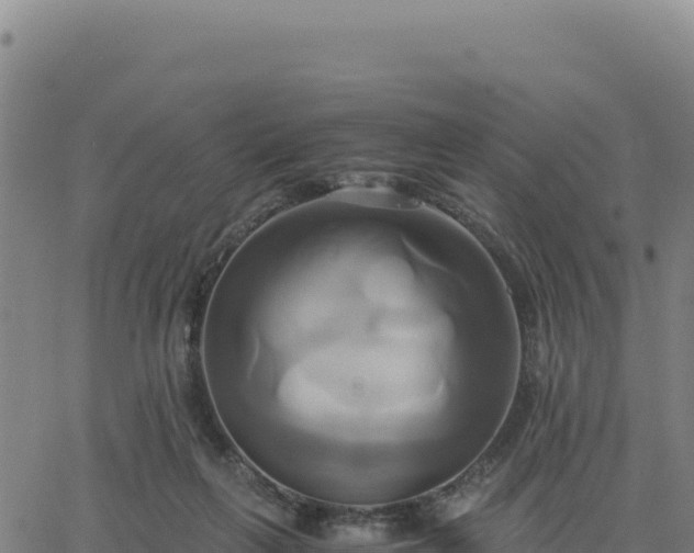 X0000063470263200601271637