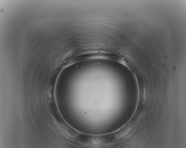 X0000063470264200601271637