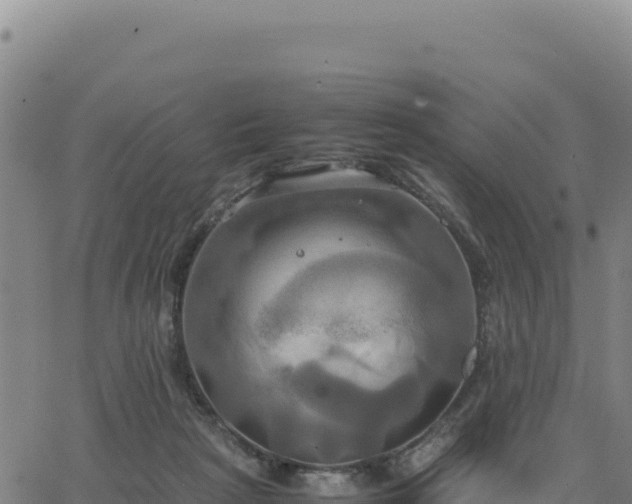 X0000063470265200601271637