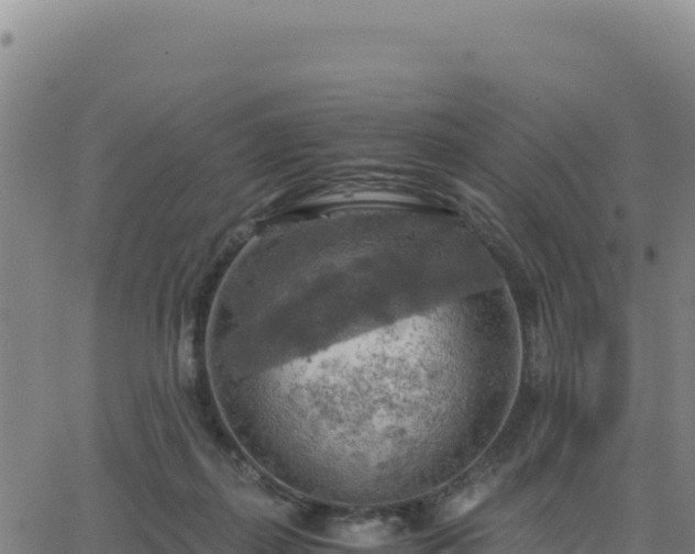 X0000063470267200601271637