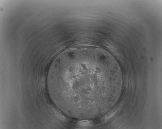 X0000063470269200601271637