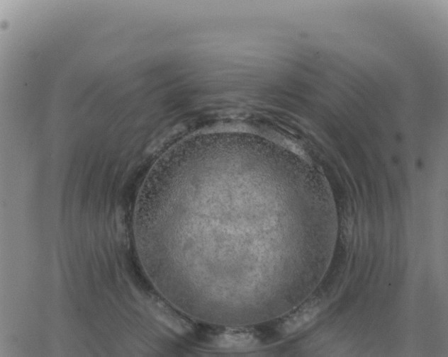 X0000063470270200601271637