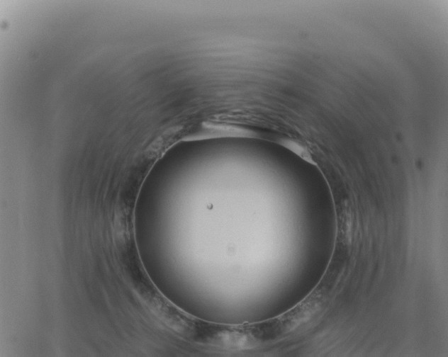 X0000063470272200601271637