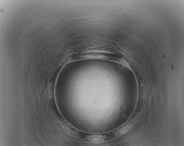 X0000063470273200601271637