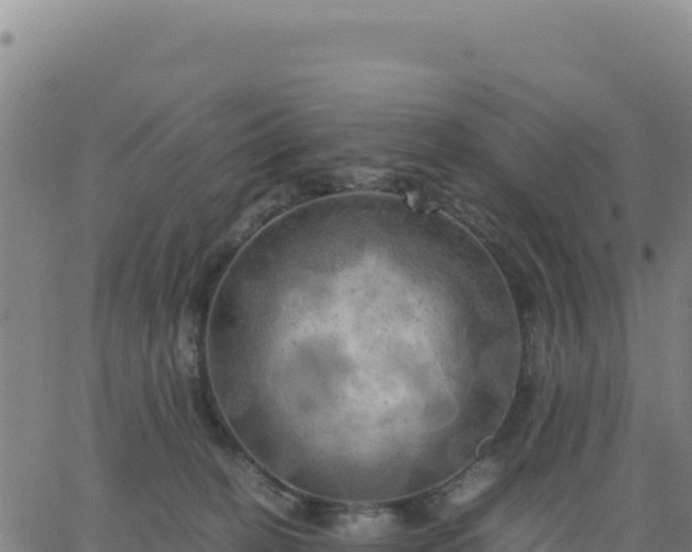 X0000063470274200601271637