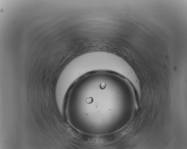 X0000063470276200601271637