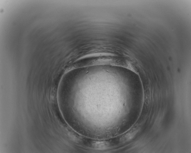 X0000063470277200601271637