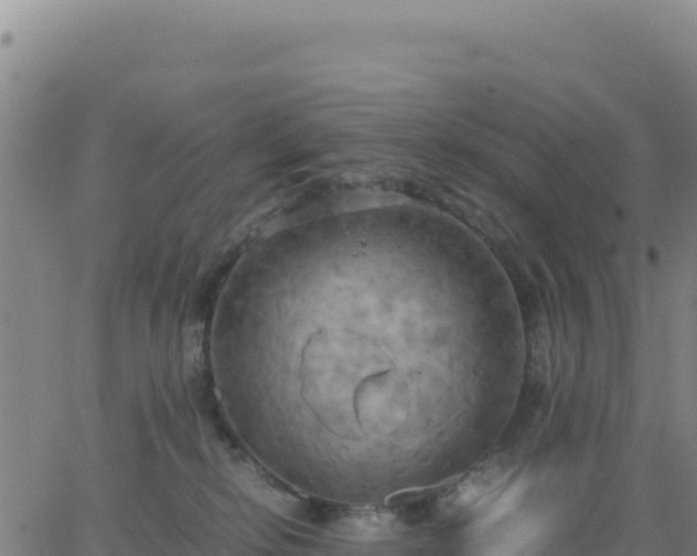 X0000063470278200601271637