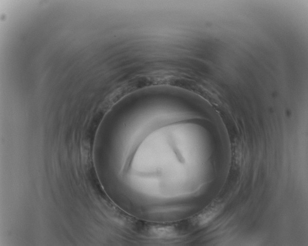 X0000063470283200601271637