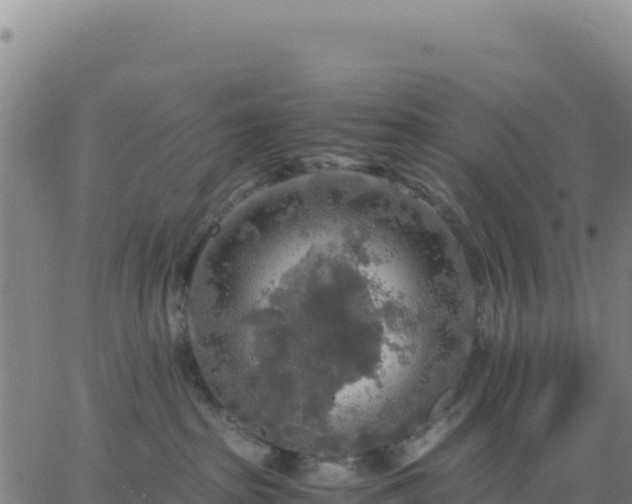 X0000063470285200601271637