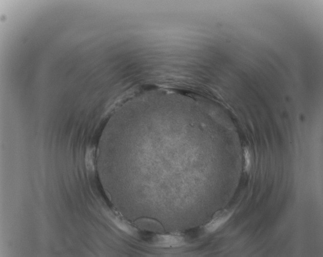 X0000063470286200601271637