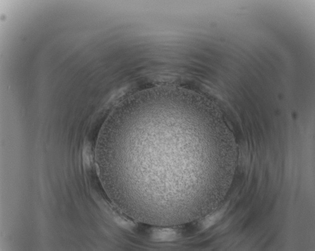 X0000063470287200601271637