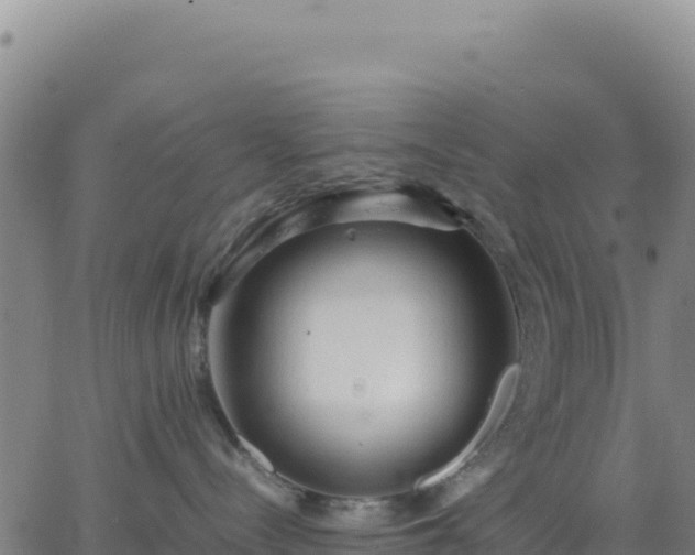 X0000063470288200601271637