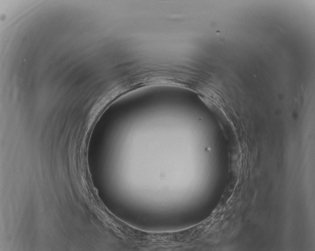 X0000063470289200601271636