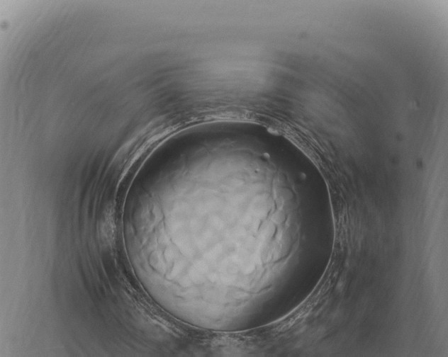 X0000063470290200601271636