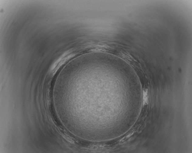 X0000063470291200601271636