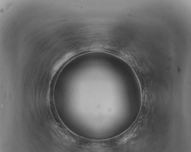 X0000063470292200601271636