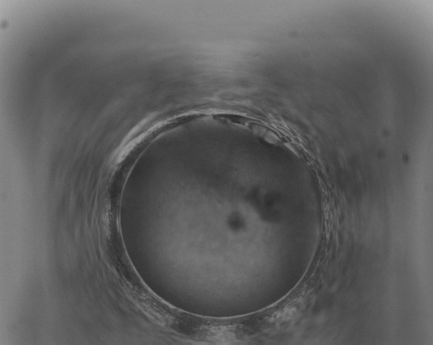 X0000063470295200601271636