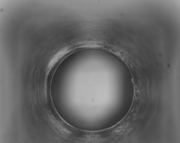 X0000063470296200601271636