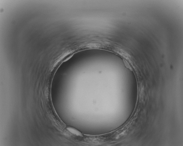 X0000063470297200601271636